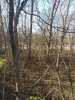 20201112_141852.jpg