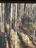 20201108_141406.jpg