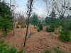 20201112_155029.jpg