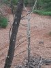 20201112_162144.jpg