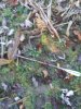 20201113_084612.jpg