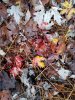 20201113_164640.jpg