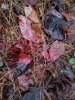 20201113_165753.jpg