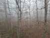 20201114_065205.jpg