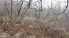 20201114_071741.jpg