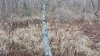 20201114_071724.jpg