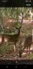 Screenshot_20201114-093047_Gallery.jpeg