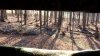 20201114_143549.jpg