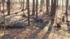 20201114_143519.jpg