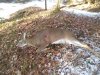 20201114_084816.jpg