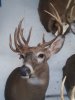 20201114_095140.jpg