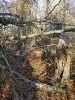 20201116_092637.jpg