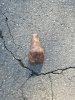 20201116_104229.jpg