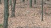 20201116_151502.jpg