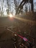20201116_072634.jpg