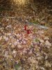 20201116_191409.jpg