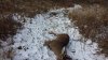 20201118_101715.jpg
