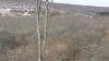 20201118_103848.jpg