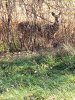 20201118_105315.jpg