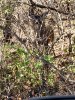 20201118_105307.jpg