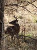 20201118_104930.jpg