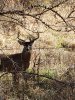 20201118_104932.jpg
