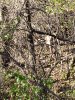 20201118_105258.jpg