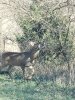 20201118_104922.jpg