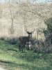 20201118_104921.jpg