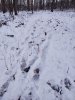 IMG_20201119_082657503.jpg