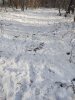 IMG_20201119_092832075.jpg