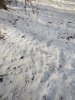 IMG_20201119_092830242.jpg