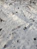 IMG_20201119_092822075.jpg