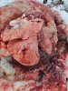 IMG_20201119_091643194.jpg