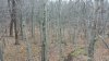 20201121_070838.jpg