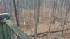 20201121_070826.jpg