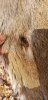 20201121_134242.jpeg