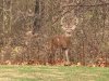 20201121_164155.jpg