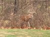 20201121_164209.jpg