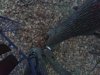 IMG_20201122_065202.jpeg