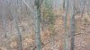 20201122_073802.jpg