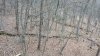 20201122_073739.jpg