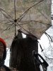 20201122_084420.jpg