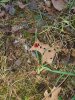 20201128_140758.jpg