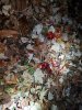 20201127_183640.jpg