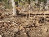 20201205_104117.jpg