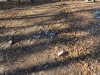IMG_1602.jpg