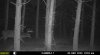 20201209_103447.jpeg