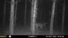 20201209_103420.jpeg