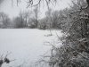 20201213_142902.jpg